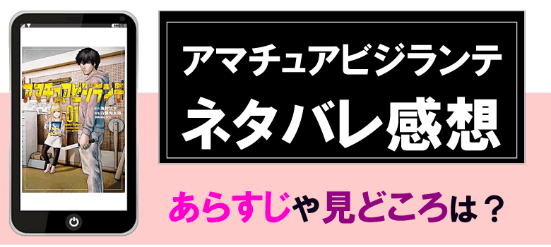 アマチュアビジランテのネタバレ感想