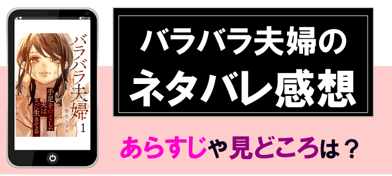 バラバラ夫婦のネタバレ感想とあらすじ